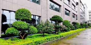 beat365官网 新疆城市绿化花卉批发市场
